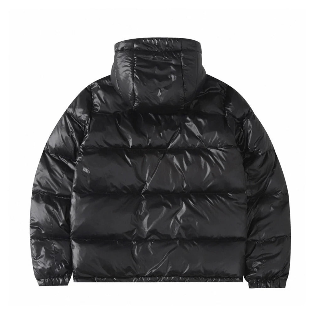 "RL" Shiny Puffer