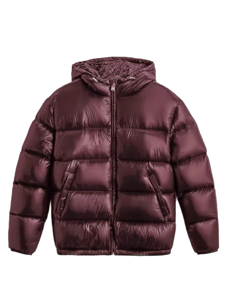 Shiny Puffer Jacket Unisex